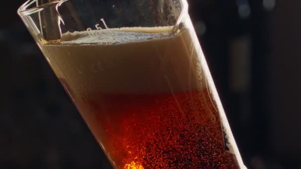 Медленное движение холодного пива, выливающегося в высокий стакан — стоковое видео