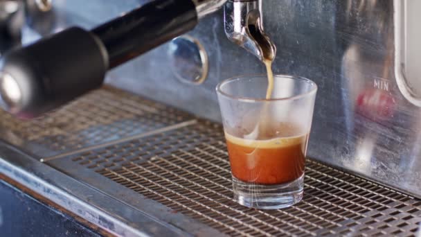 Máquina de café expreso preparando una taza de café expreso — Vídeo de stock