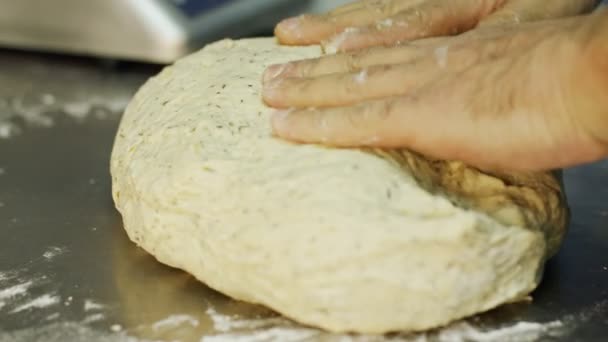 Primer plano en las manos del chef mientras se prepara la masa — Vídeos de Stock