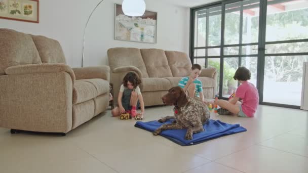 Três crianças brincando com um cão ponteiro alemão dentro de uma casa — Vídeo de Stock