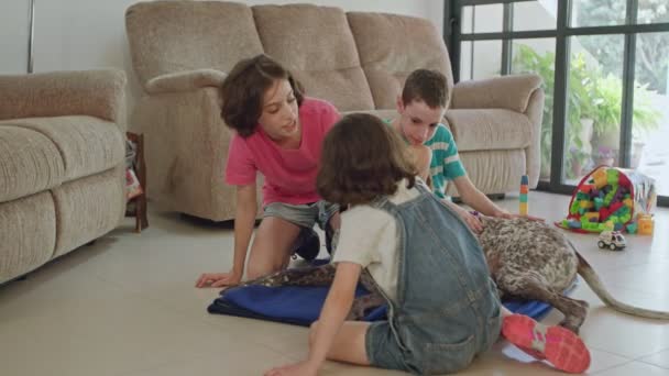 Drie kinderen spelen met een Duitse aanwijzer hond in een huis — Stockvideo