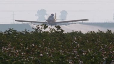 Ürün üzerinde bir pamuk alana - yavaş hareket kimyasal püskürtme silgi