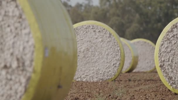 Cotton picker harvesting a cotton field creating large cotton bales — Stock Video