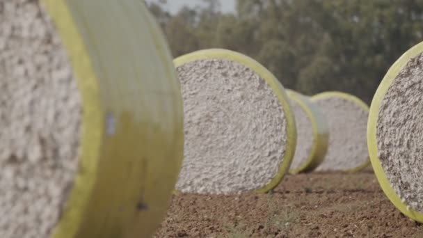 Recolector de algodón cosechando un campo de algodón creando grandes fardos de algodón — Vídeo de stock