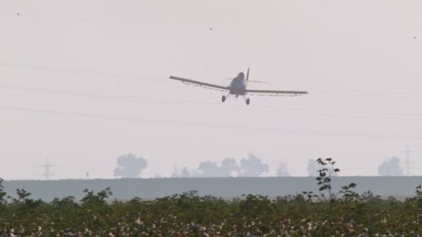 Crop duster oprysków chemicznych na polu bawełny — Wideo stockowe