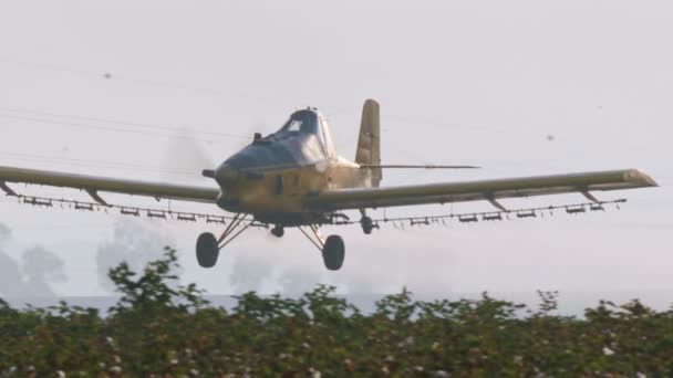 Gröda duster sprutning kemikalier över ett bomullsfält - slowmotion — Stockvideo