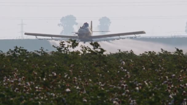 作物除尘器喷洒化学品在棉花领域-慢动作 — 图库视频影像