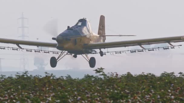 コットン フィールド - スローモーション以上の化学物質の散布農薬散布機 — ストック動画