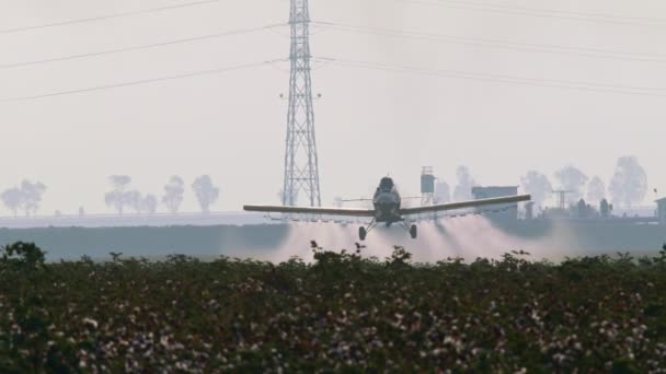 Staubwedel sprüht Chemikalien über ein Baumwollfeld - Zeitlupe — Stockvideo