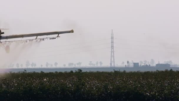 Пылеочиститель распыляет химикаты над хлопковым полем - замедленная съемка — стоковое видео