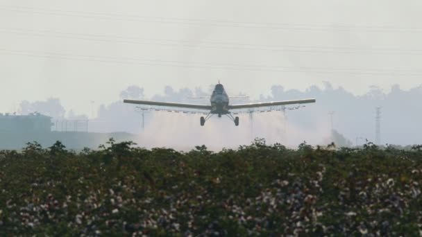 Colheita pulverizador pulverização de produtos químicos sobre um campo de algodão - câmera lenta — Vídeo de Stock