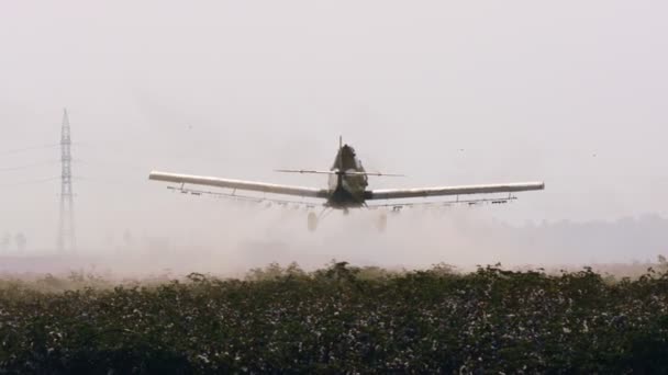 作物除尘器喷洒化学品在棉花领域-慢动作 — 图库视频影像