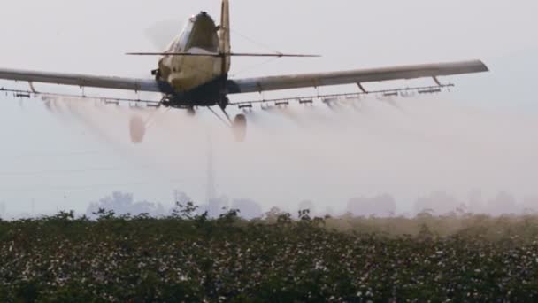 Gröda duster sprutning kemikalier över ett bomullsfält - slowmotion — Stockvideo