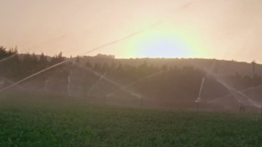 Ağır çekim bir alan gün batımı sırasında sulamak birçok etkisi Sprinkler