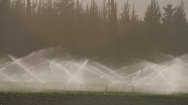 Ağır çekim bir alan gün batımı sırasında sulamak birçok etkisi Sprinkler