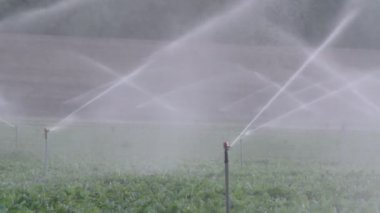 Ağır çekim bir alan gün batımı sırasında sulamak birçok etkisi Sprinkler