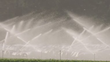 Ağır çekim bir alan gün batımı sırasında sulamak birçok etkisi Sprinkler