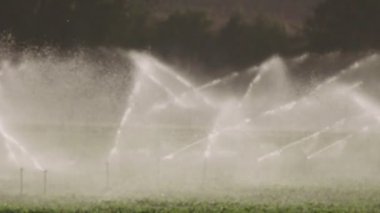 Ağır çekim bir alan gün batımı sırasında sulamak birçok etkisi Sprinkler