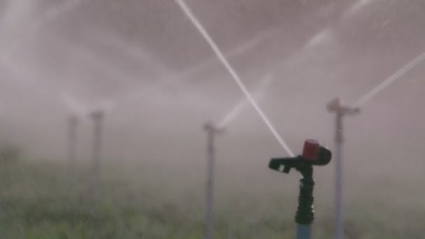 Slow motion van vele gevolgen sprinklers irrigatie van een veld tijdens zonsondergang — Stockvideo