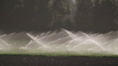 Ağır çekim bir alan gün batımı sırasında sulamak birçok etkisi Sprinkler