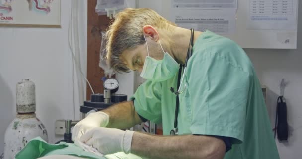 Tierarzt Und Sein Assistent Operieren Einen Hund Einer Tierklinik — Stockvideo