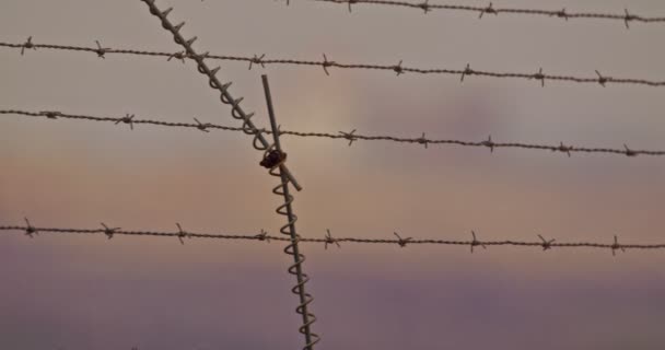 İsrail ile Lübnan arasındaki sınır çiti. Dikenli tel ve elektronik çit. — Stok video