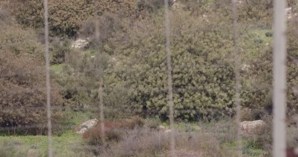 イスラエル共和国とレバノン間のボーダー塀。有刺鉄線と電子塀. — ストック動画