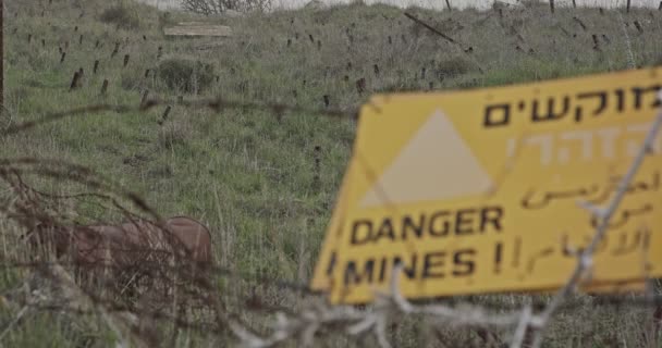 Varovné znamení minového pole v Golanských výšinách na hranici Sýrie s Izraelem — Stock video