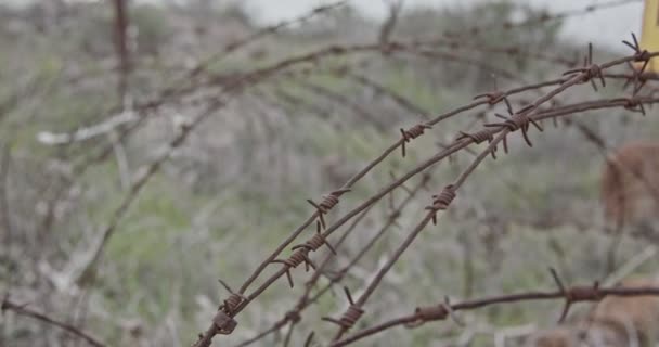 Segnale di avvertimento dei campi minati nelle alture del Golan al confine con Israele in Siria — Video Stock