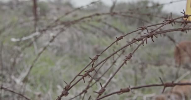 Varovné znamení minového pole v Golanských výšinách na hranici Sýrie s Izraelem — Stock video