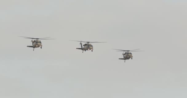 Blackhawk militära helikoptrar flyga i formation — Stockvideo