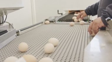 Konveyör bant bir büyük tavuk çiftliğinde yumurta