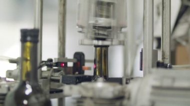 Şişeleme fabrikasında zeytinyağı şişe dolum