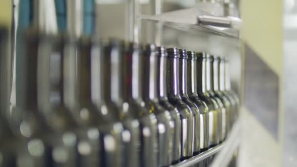 Riempimento delle bottiglie di olio d'oliva in un impianto di imbottigliamento — Video Stock
