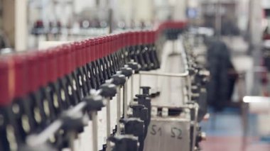 Kırmızı şarap şişe konveyör bant bir şarap şişeleme fabrikası.