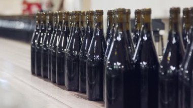 Kırmızı şarap şişe konveyör bant bir şarap şişeleme fabrikası.