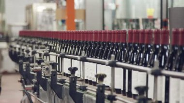 Kırmızı şarap şişe konveyör bant bir şarap şişeleme fabrikası.