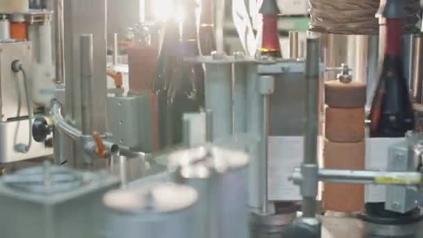 Red Wine bottles labeling process in a wine bottling factory. — Stock Video