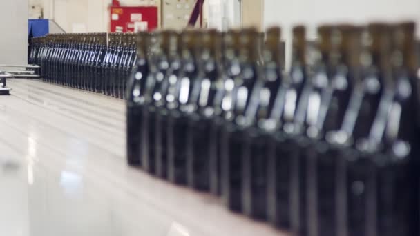 Rode wijn flessen op een transportband in een wijn bottelen fabriek. — Stockvideo