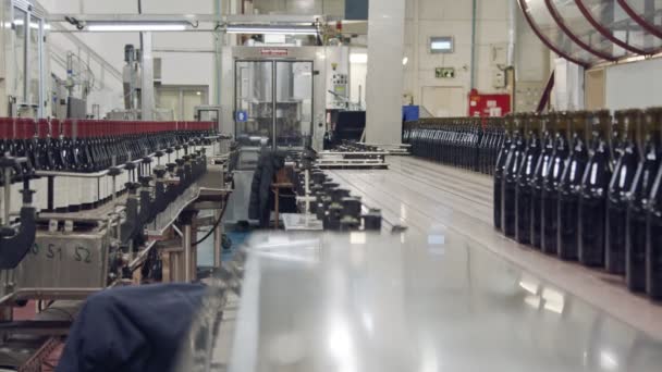 Garrafas de vinho tinto em uma correia transportadora em uma fábrica de engarrafamento de vinho . — Vídeo de Stock