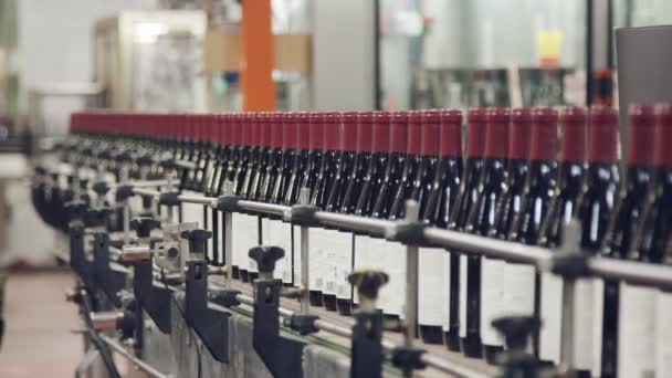 Butelek czerwonego wina na przenośnik taśmowy wina butelkowanie fabryki. — Wideo stockowe