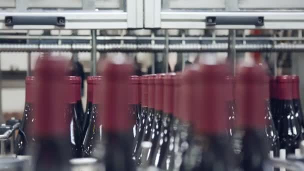 Bouteilles de vin rouge sur un tapis roulant dans une usine d'embouteillage de vin . — Video