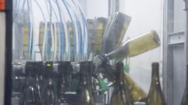 Kırmızı şarap şişe konveyör bant bir şarap şişeleme fabrikası.