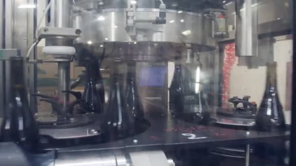 Proceso de llenado de botellas de vino tinto en una fábrica de embotellado de vino . — Vídeo de stock