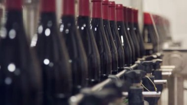 Kırmızı şarap şişe konveyör bant bir şarap şişeleme fabrikası.