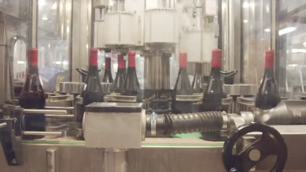 Garrafas de vinho tinto em uma correia transportadora em uma fábrica de engarrafamento de vinho . — Vídeo de Stock