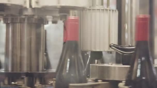 Botellas de vino tinto en una cinta transportadora en una fábrica de embotellado de vino . — Vídeo de stock