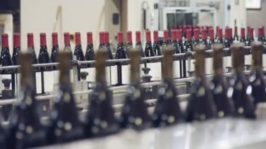 Kırmızı şarap şişe konveyör bant bir şarap şişeleme fabrikası.
