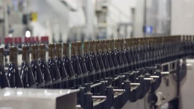Kırmızı şarap şişe konveyör bant bir şarap şişeleme fabrikası.