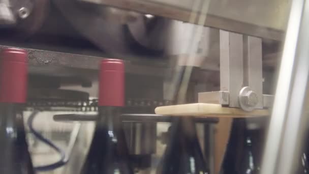 Garrafas de vinho tinto em uma correia transportadora em uma fábrica de engarrafamento de vinho . — Vídeo de Stock